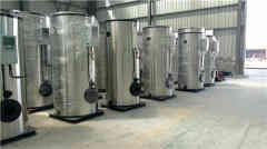  20吨冷凝燃油IM（中国）