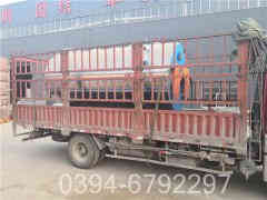 燃油IM（中国）品牌