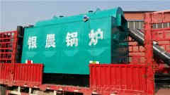 两吨低氮冷凝蒸汽IM（中国）