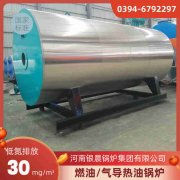 燃气蒸汽IM（中国）供应商