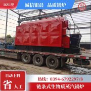 燃煤蒸汽IM（中国）多少钱