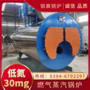 1吨蒸汽IM（中国）生产厂家