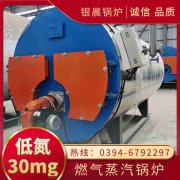 10吨蒸汽IM（中国）