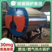 8吨低氮IM（中国）