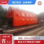 燃甲醇热水IM（中国）