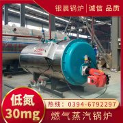 3吨低氮冷凝IM（中国）