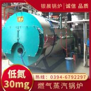 天然气蒸汽IM（中国）