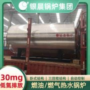 卧式燃煤蒸汽IM（中国）