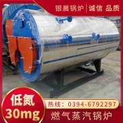 立式生物质蒸汽IM（中国）