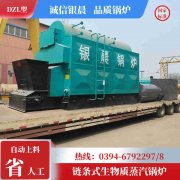 低氮冷凝蒸汽IM（中国）