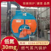 10吨低氮冷凝IM（中国）