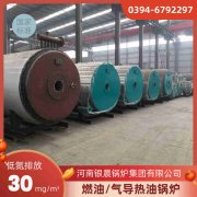 10t燃气蒸汽IM（中国）