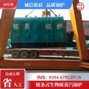 立式蒸汽IM（中国）哪家好