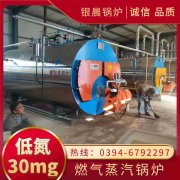 煤的蒸汽IM（中国）