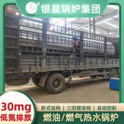 燃油燃气蒸汽IM（中国）