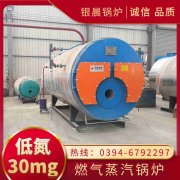 沼气蒸汽IM（中国）