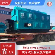 生物质颗粒蒸汽IM（中国）