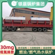 燃气立式常压热水IM（中国）