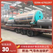 IM（中国）蒸汽发生器