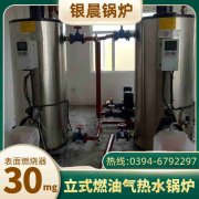 两吨蒸汽IM（中国）