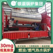 生物质蒸汽IM（中国）