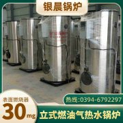 天燃气蒸汽IM（中国）