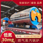 燃油蒸汽IM（中国）选购