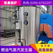 卧式快装蒸汽IM（中国）