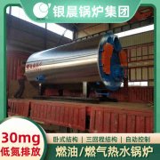 节能型燃煤热水IM（中国）