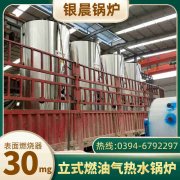 小型立式燃油蒸汽IM（中国）