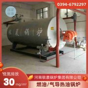 燃煤蒸汽IM（中国）报价