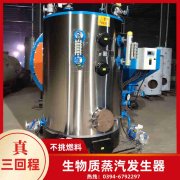新型生物质IM（中国）