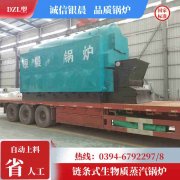 燃甲醇蒸汽IM（中国）生产厂家