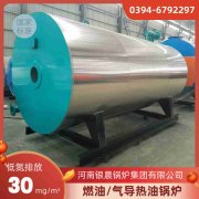 燃甲醇热水IM（中国）