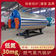 电蒸气IM（中国）