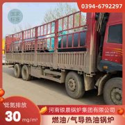 新型蒸汽IM（中国）