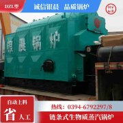 0.3吨天然气热水IM（中国）