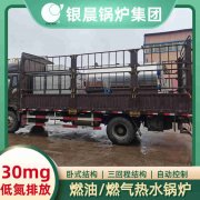 CWNS5.6-85/60-QYIM（中国）