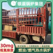 CLHS0.49-85/60-QY液化气热水IM（中国）