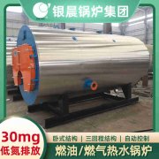 CWNS0.35-85/60-QY热水IM（中国）