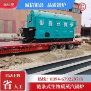 0.3吨燃油热水IM（中国）