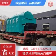 0.7吨天然气热水IM（中国）