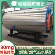 8吨燃气热水IM（中国）