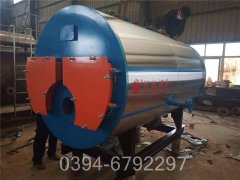 辽宁6吨燃油热水IM（中国）