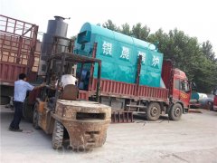 云南CWNS2.1-85/60-QY热水IM（中国）