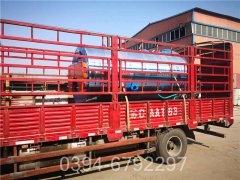 新疆20吨热水IM（中国）