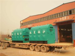 广东CWNS0.7-85/60-QY热水IM（中国）