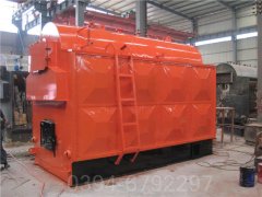 河北12吨天然气热水IM（中国）