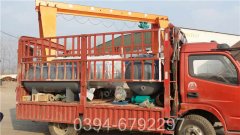 海南CWNS0.7-85/60-QY燃气热水IM（中国）