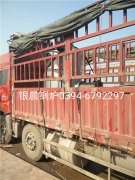 LSS0.5-1.0-Q型0.5吨贯流式燃气蒸汽IM（中国）发货